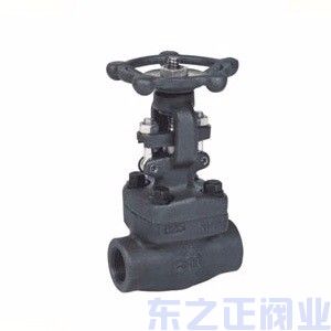 鍛鋼閘閥