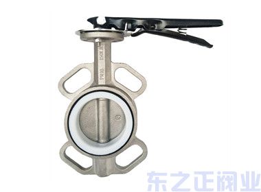 手動(dòng)四氟不銹鋼蝶閥D71F